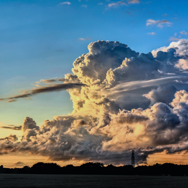 Cloud and SaaS